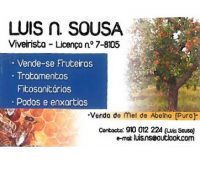 LUIS N SOUSA VIVEIRISTA