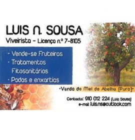 LUIS N SOUSA VIVEIRISTA