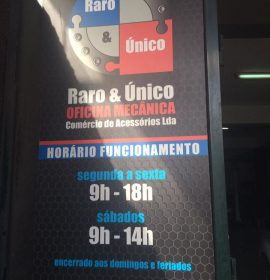 RARO E ÚNICO