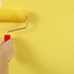 MANUEL JOSE SOUSA RODRIGUES – ZECA PINTOR