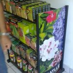 GRÉMIO DA RIBEIRA GRANDE