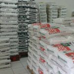 GRÉMIO DA RIBEIRA GRANDE