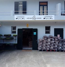 GRÉMIO DA RIBEIRA GRANDE