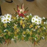 FLORISTA FLOR DO RIBEIRO