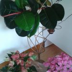 FLORISTA FLOR DO RIBEIRO