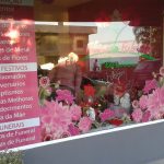 FLORISTA FLOR DO RIBEIRO