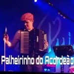 PALHEIRINHO DO ACORDEAO