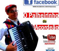 PALHEIRINHO DO ACORDEAO