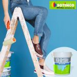 NTINTAS – SOTINCO