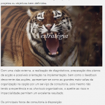 ROBERTO RODRIGUES – GESTÃO, FORMAÇÃO E CONSULTORIA