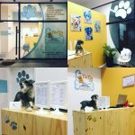 TIN TIN SPA – ATIVIDADES E SERVIÇOS DOS ANIMAIS DE COMPANHIA