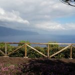MADEIRALIMO – TRAVEL ANGENCY